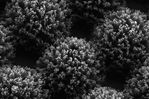 阿坝阿坝蔡司显微镜